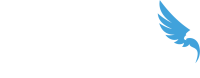 Drone Delivery Group